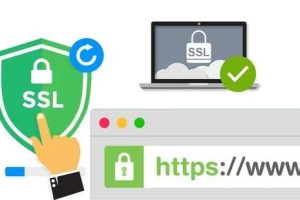 泛域名SSL证书多少钱一年