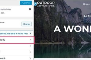 WordPress网站添加自定义字体