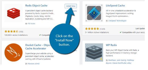 安装Redis Object Cache