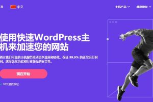 Hostinger WordPress主机