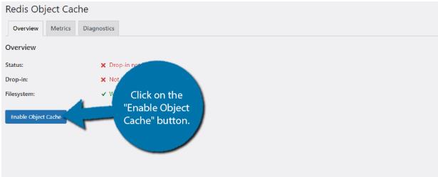 启用Redis Object Cache