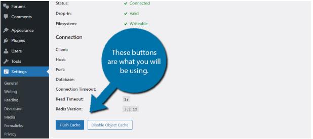 启用Redis Object Cache