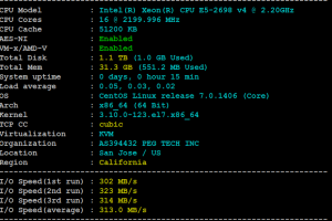 RAKsmart新加坡裸机云服务器评测