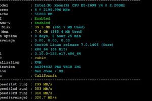 RAKsmart新加坡云服务器精品网线路速度和性能评测