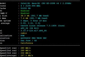 RAKsmart新加坡云服务器速度和性能综合评测