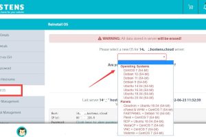 Hostens国外VPS操作系统