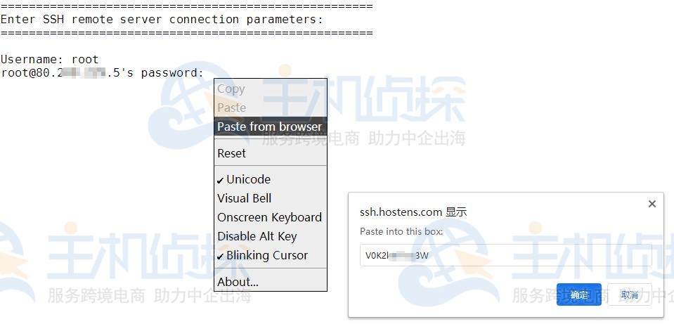 Hostens欧洲VPS远程连接信息