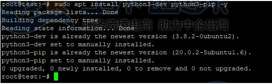 安装Python或Pip或虚拟环境