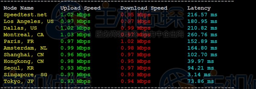 RAKsmart新加坡云服务器精品网线路速度和性能评测