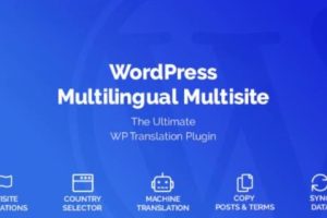 WordPress Multilingual Multisite