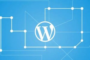 WordPress网站出现严重错误的解决方法