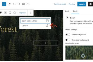 WordPress图像添加文本