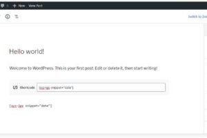 WordPress文章或页面添加PHP代码
