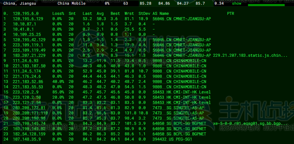 RAKsmart新加坡裸机云服务器精品网线路综合测评