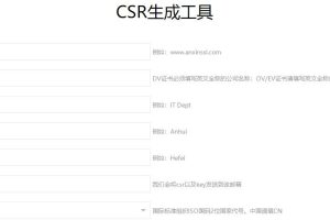 CSR在线生成工具