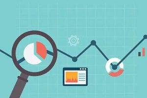 公司网站域名续费一年多少钱