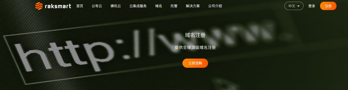 RAKsmart域名服务
