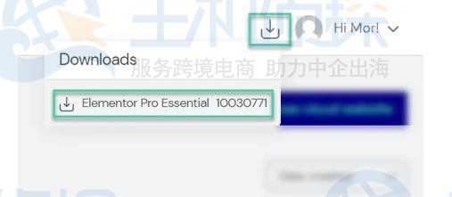 下载Elementor Pro插件文件