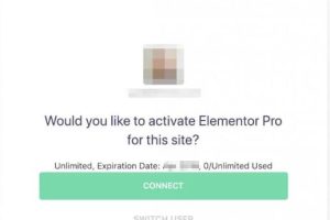 激活Elementor Pro许可证