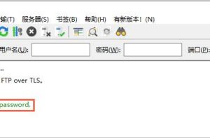 检查FTP客户端报错信息