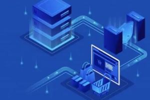 Megalayer新加坡服务器大陆优化带宽和国际带宽选哪个好