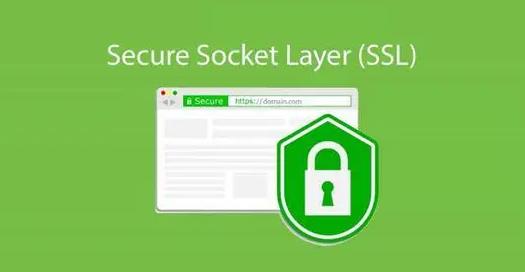 DigiCert企业型SSL证书价格一年多少钱