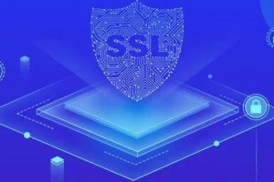 购买DV和OV SSL证书时如何选择域名类型