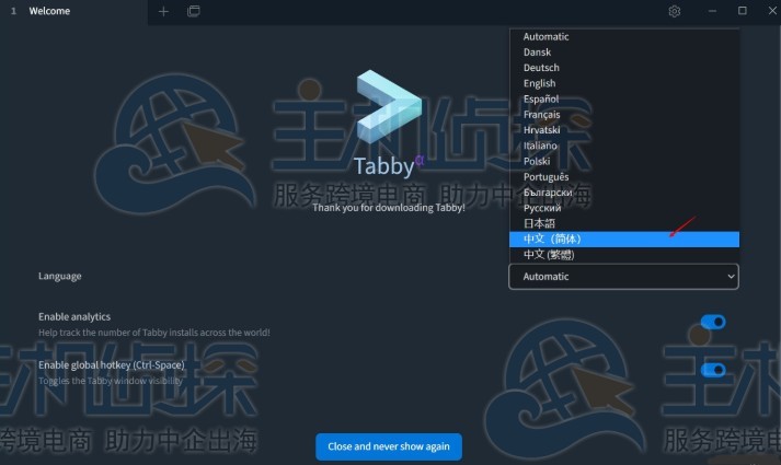 Tabby设置中文