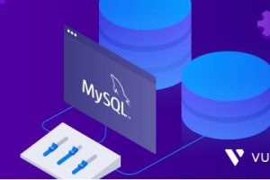 Vultr托管数据库服务新增MySQL支持
