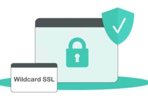 通配符SSL证书有免费的吗