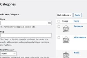WordPress网站如何添加分类图片