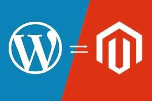 Magento和WordPress哪个好