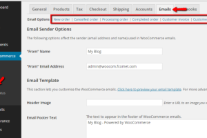 访问电子邮件选项页面