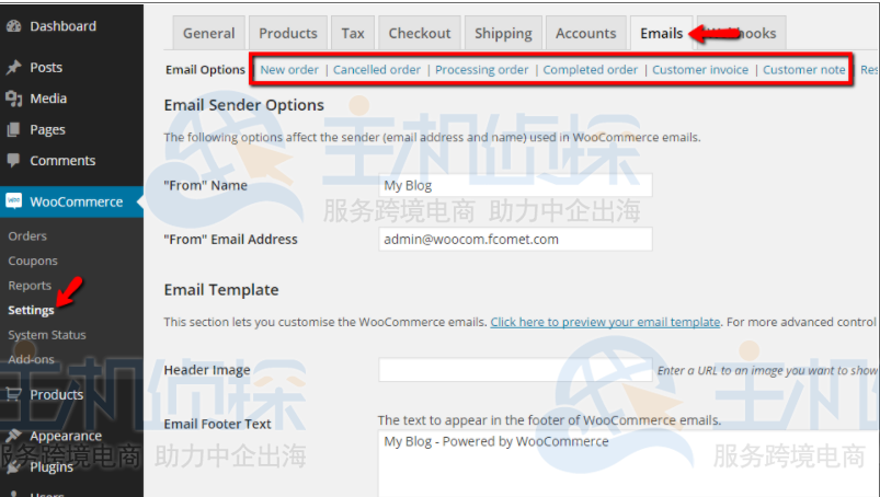 访问电子邮件选项页面