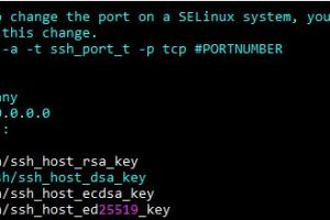 Ubuntu服务器如何更改远程端口号