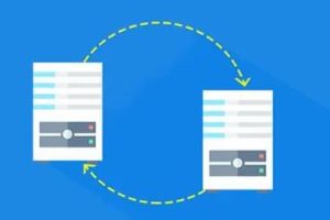 美国多IP站群VPS