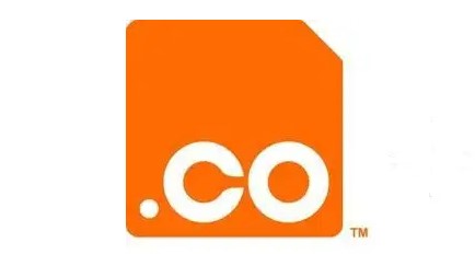 co域名国内可以用吗