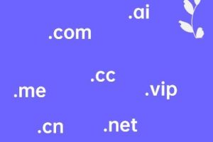 怎么注册自己网站的域名