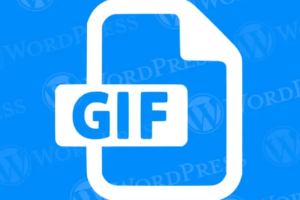分享解决WordPress网站GIF图片不播放问题
