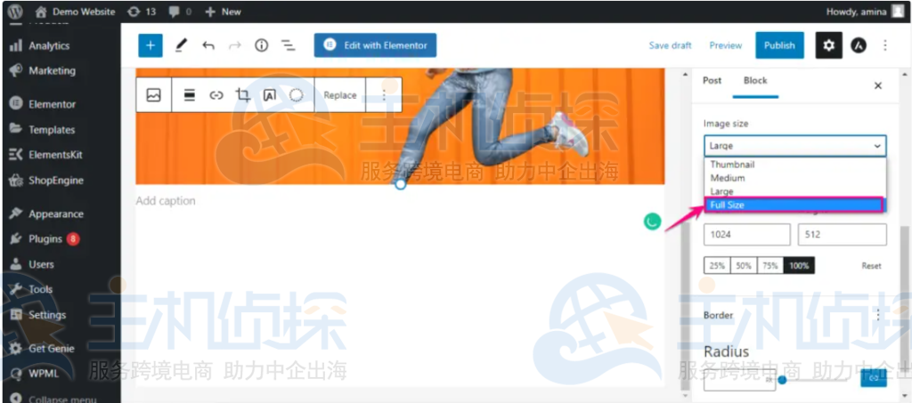 使用全尺寸图像