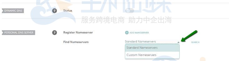如何删除DNS名称服务器