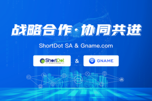 Gname与 ShortDot SA 就过期删除域名业务达成合作