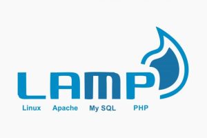 Ubuntu服务器搭建LAMP环境教程