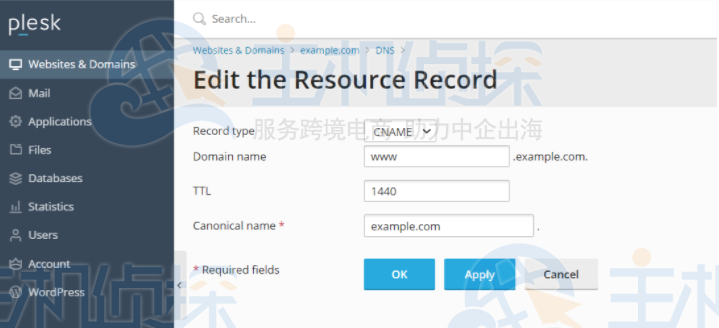 在Plesk中编辑CNAME