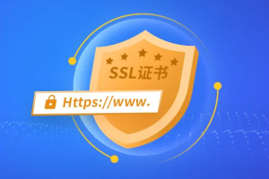 Megalayer SSL证书业务