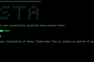 RackNerd国外VPS安装配置VestaCP面板