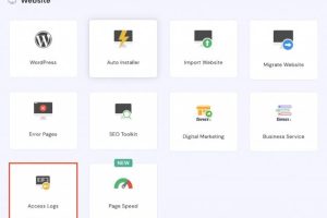 Hostinger主机网站访问日志