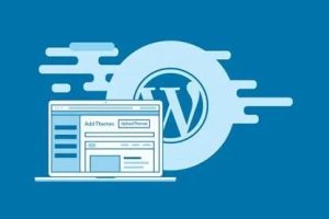 Astra主题无法加载谷歌字体