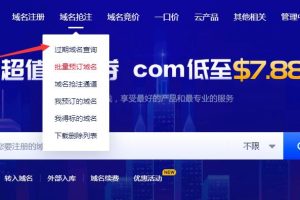 Gname过期域名查询方法