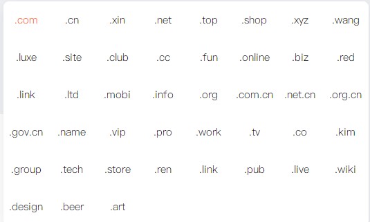 RAKsmart域名注册